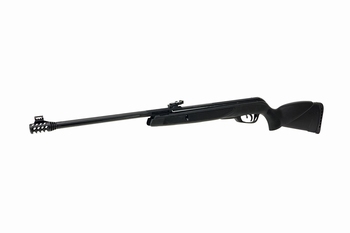 Gamo Black Bear