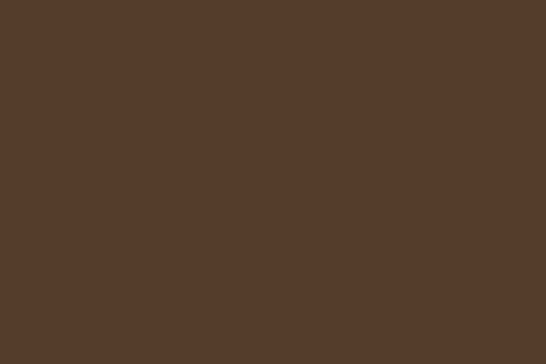 Fosco Spray can paint 400ml Dark Brown