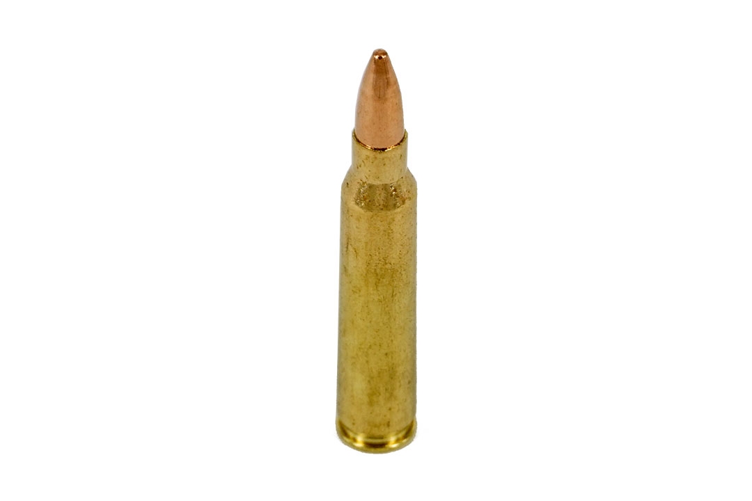 Sellier & Bellot .223Rem FMJ 55grs BULK (100rds)